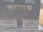Artemus and Sarah Elizabeth Wimer Lizzie Davis
