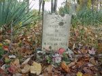 Groves Infant headstone