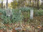 Groves Cemetery